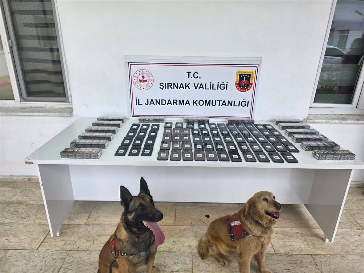 Şırnak\'ta Kaçakçılık Operasyonları: 109 Şüpheli