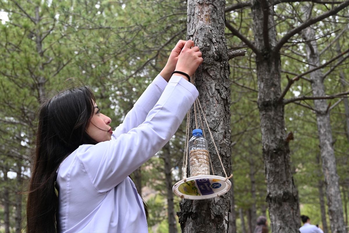 Sokak Hayvanlarına Destek Etkinliği