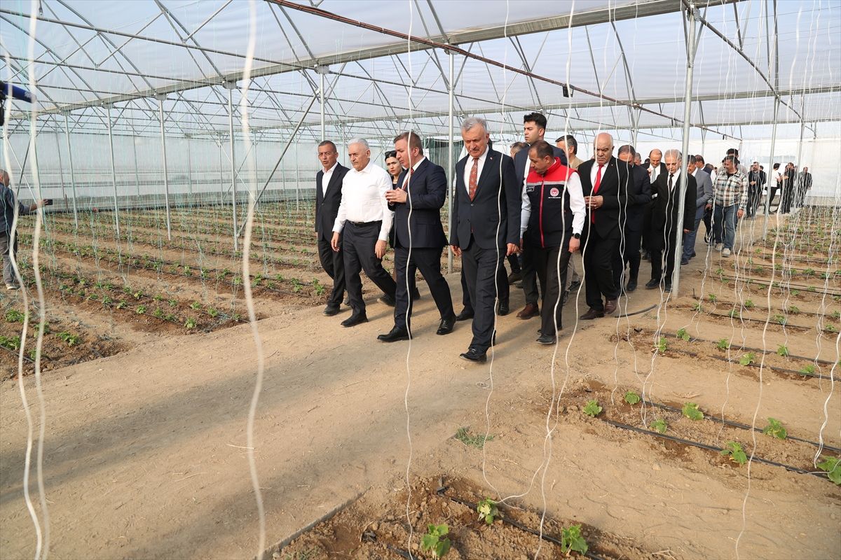 Yıldırım\'dan Erzincan\'da Sera Ziyareti
