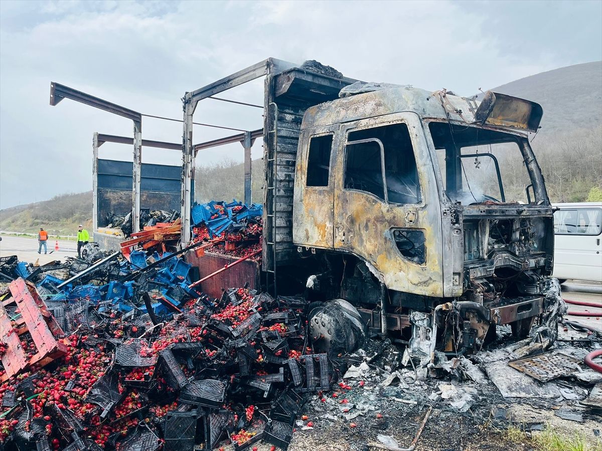 Tokat\'ta Çilek Yüklü Kamyonda Yangın