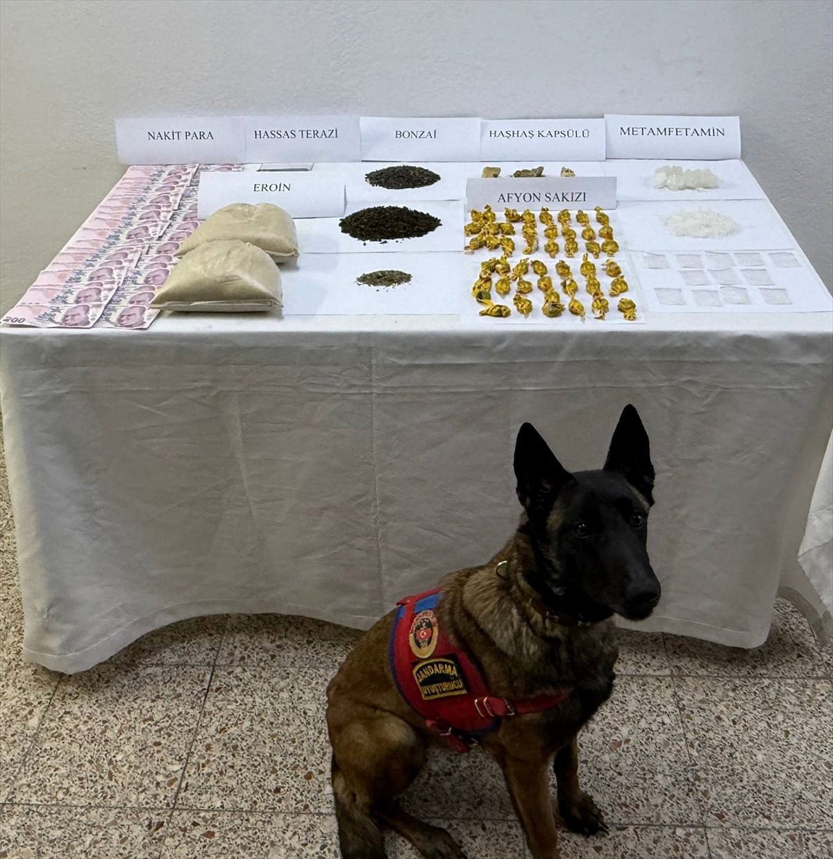 Tokat\'ta Uyuşturucu Operasyonu: 1 Gözaltı