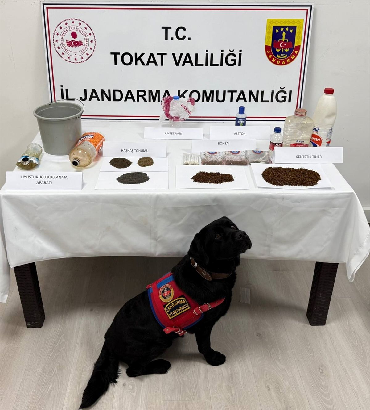 Tokat\'ta Uyuşturucu Operasyonu: 8 Gözaltı