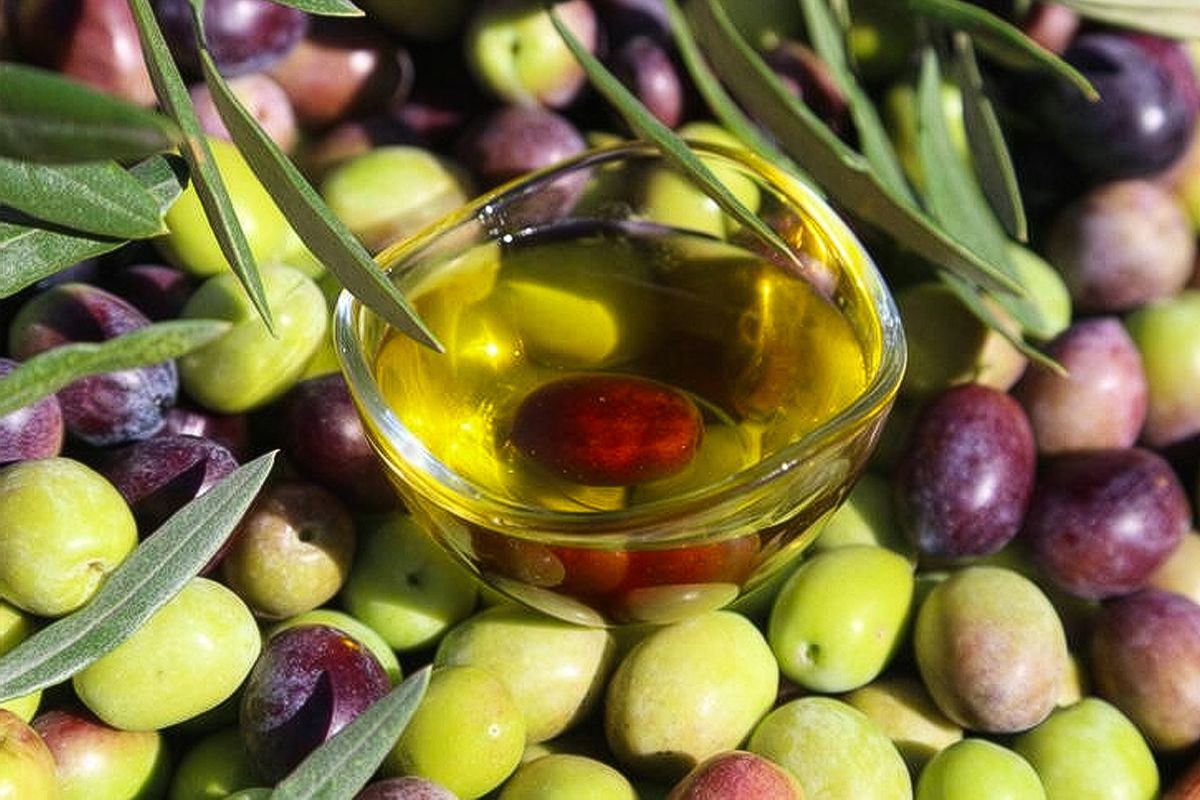 Türkiye\'nin 40 yıllık zeytin firması konkordato ilan etti