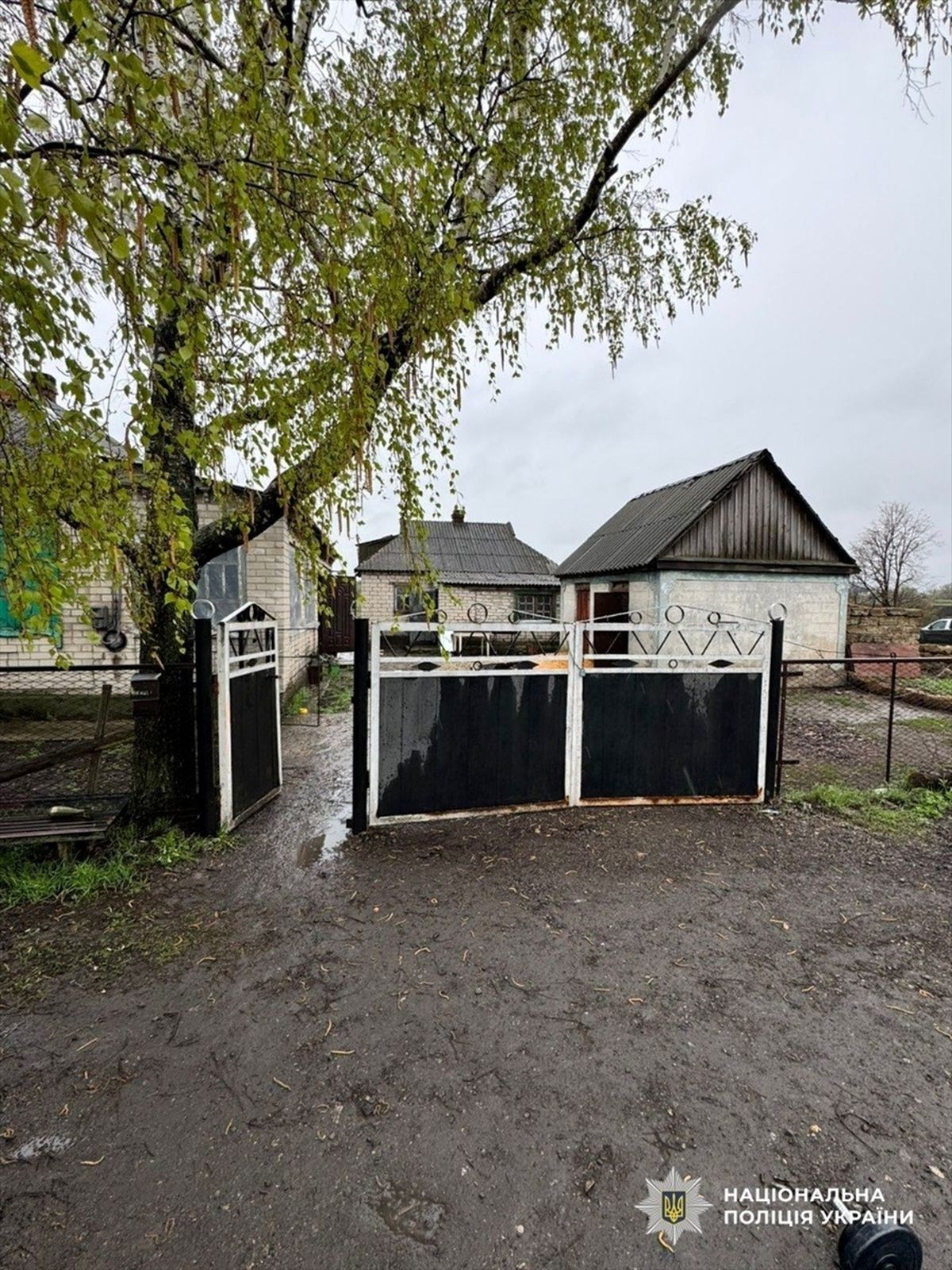 Ukrayna\'da El Bombasıyla Polislere Saldırı