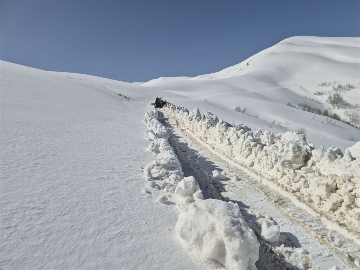 Karla Mücadele Çalışmaları Devam Ediyor