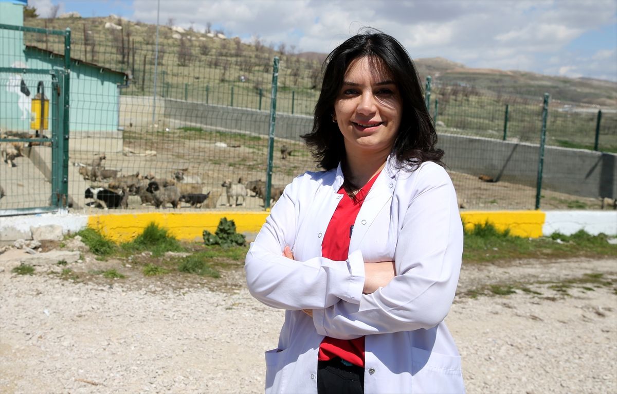 Van\'da Gıda Atıklarıyla Mama Üretimi