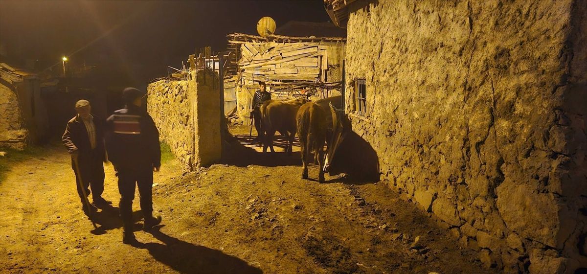 Kaybolan Hayvanlar Jandarma Tarafından Bulundu