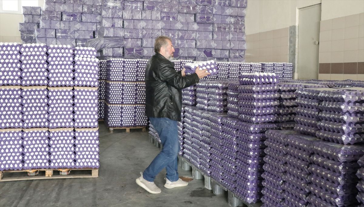 Yumurta İhracat Kotası 5 Bin Tona Çıkarıldı