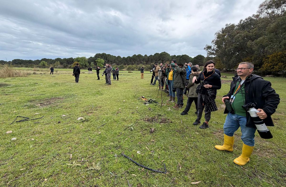 Manavgat\'ta Kuş Gözlem Kampı Gerçekleşti