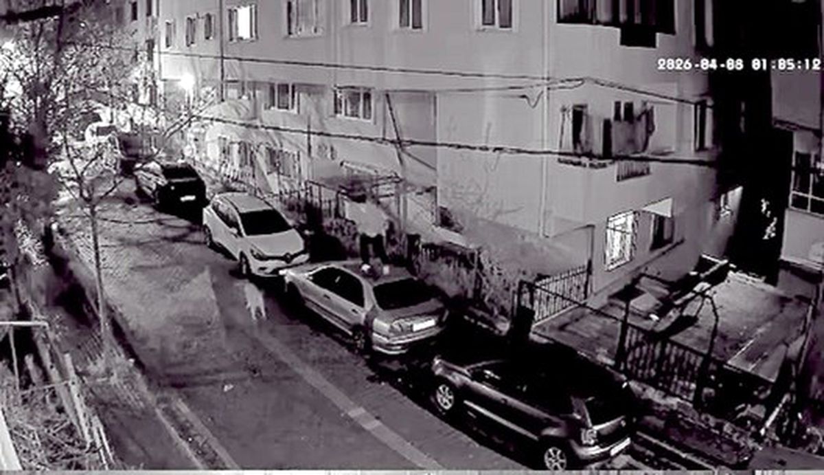 Köpeklerden Kaçan Adamın Komik Anları