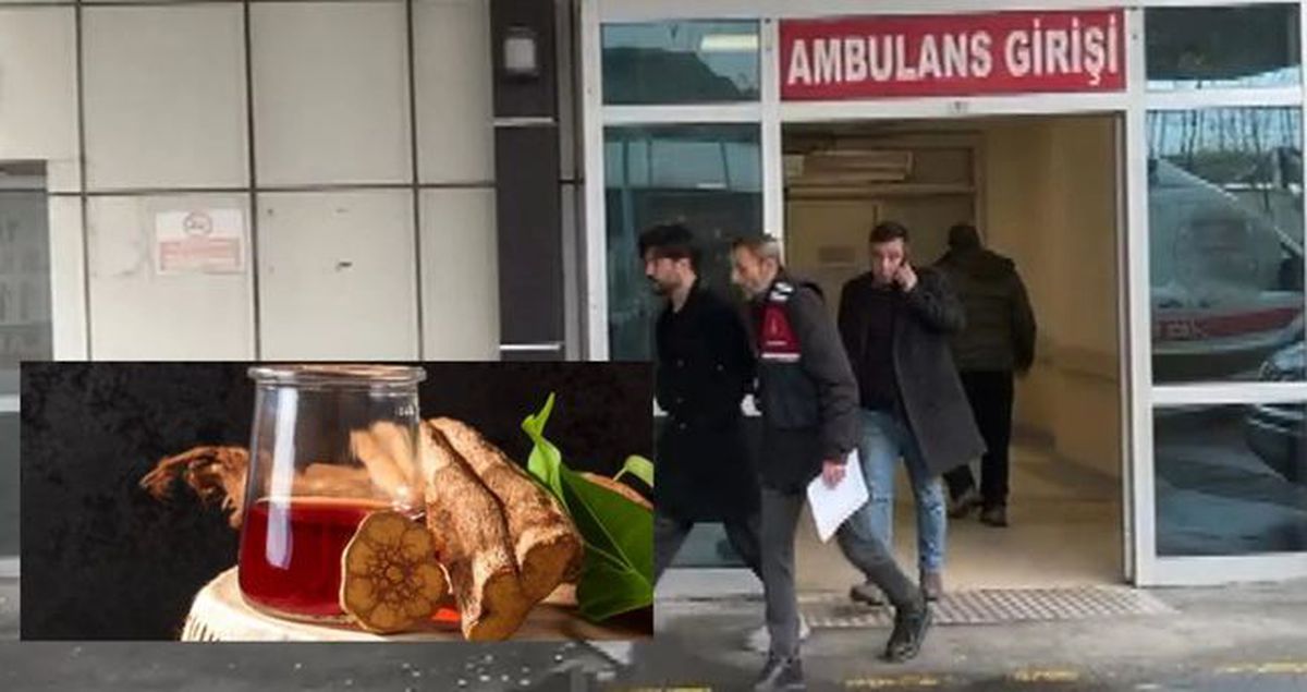 Yusuf Güney\'ın tutuklanmasına neden olan Ayahuasca çayı nedir? Yasak mı, içeriğinde neler var?