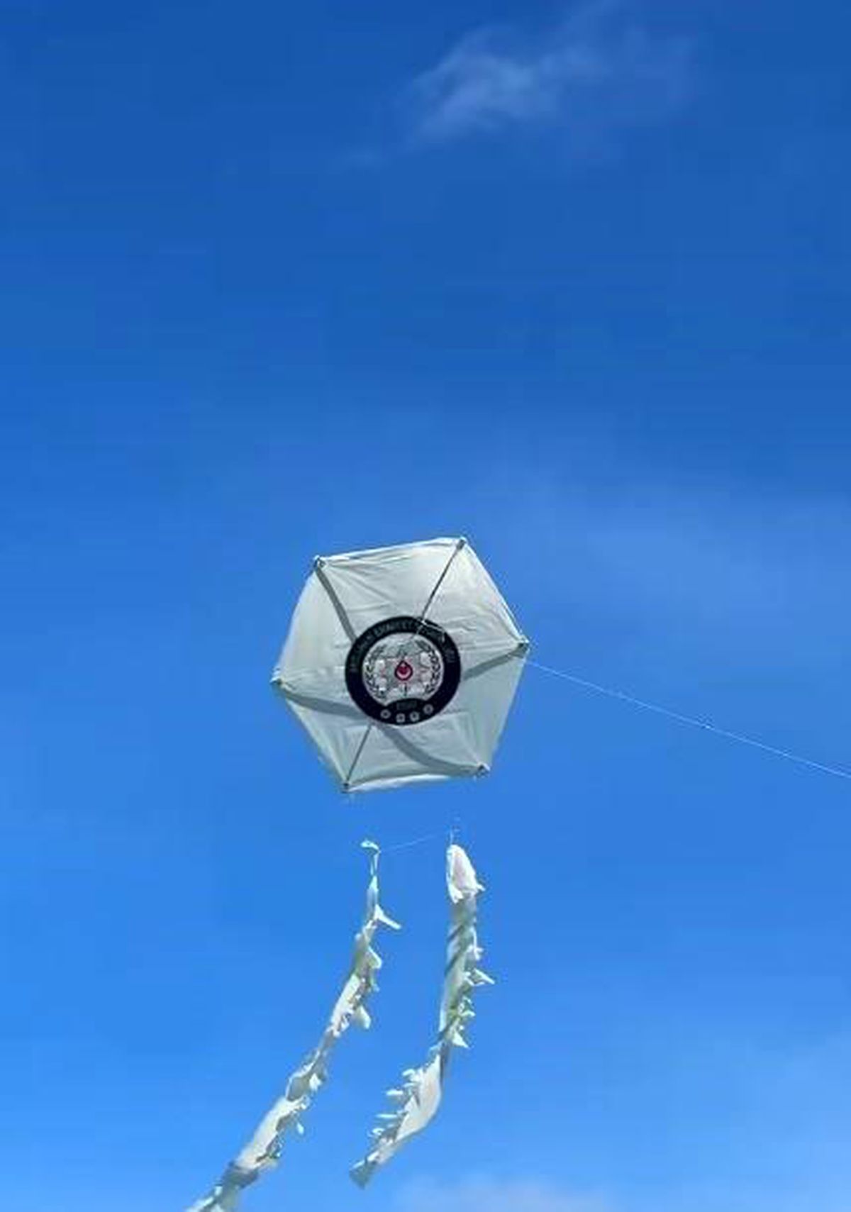 Ardahan\'da Uçurtma Şenliği Coşkusu