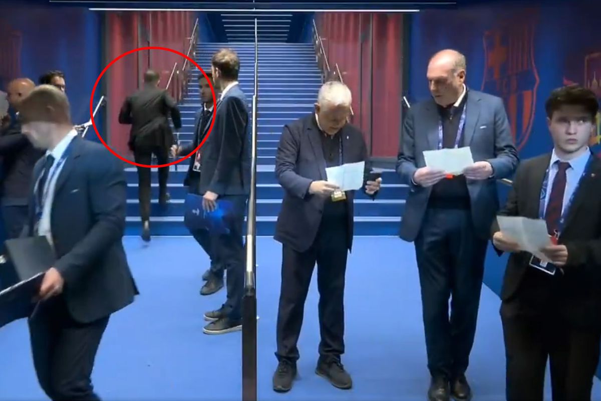 Geceye damga vuran kare! Herkes onu konuşuyor