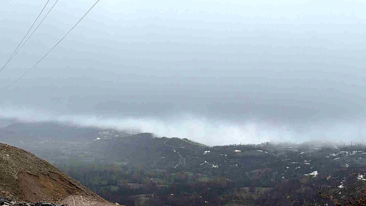 Bitlis\'te Yoğun Sis Hayatı Olumsuz Etkiliyor