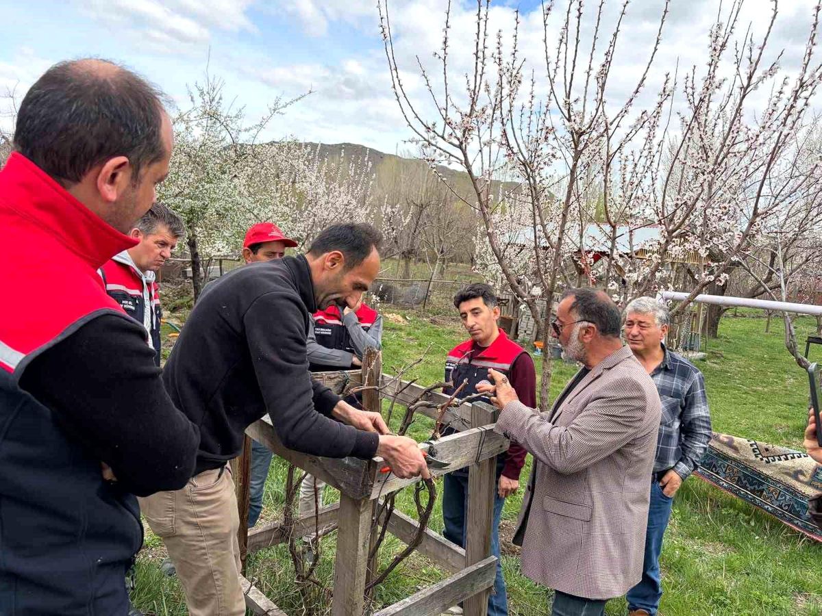 Kars\'ta Meyvecilik Eğitimi