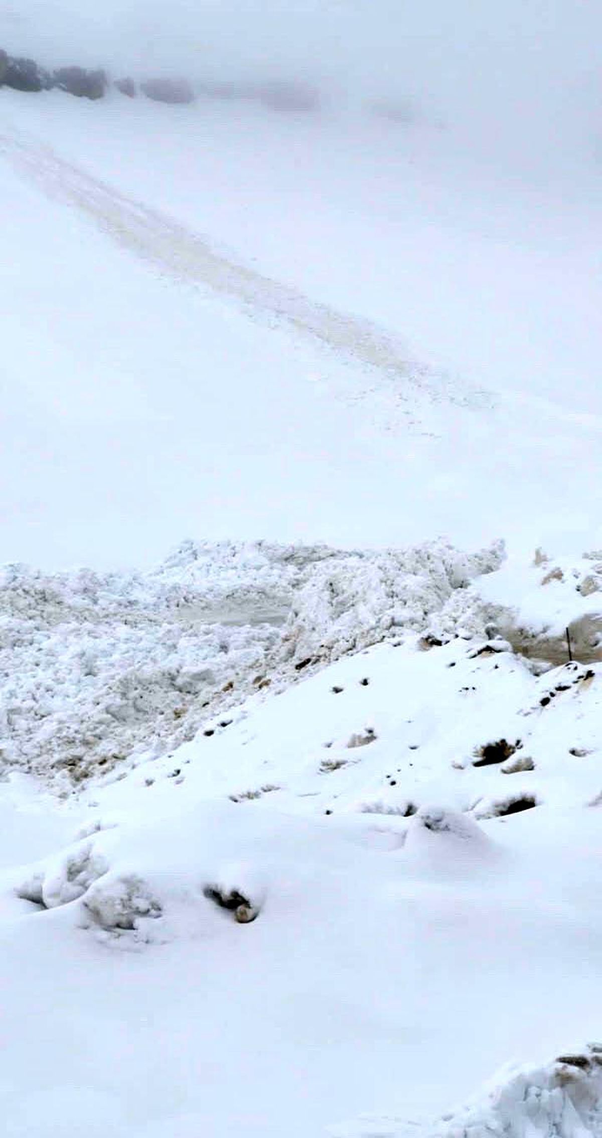 Şırnak\'ta ilkbaharda kar yağışı: 2 bin 200 rakımda ikinci çığ şoku yaşandı