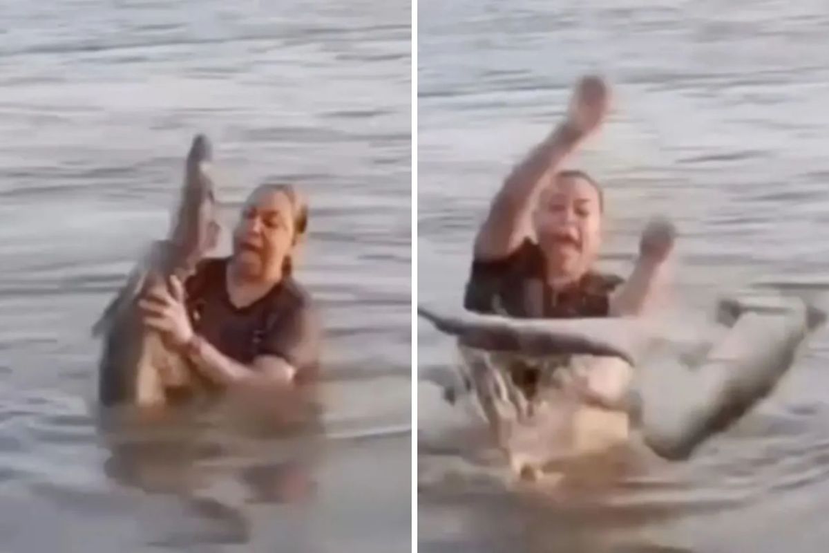 Kütük diye eline aldı, timsah çıktı! Yaşadığı şok kamerada