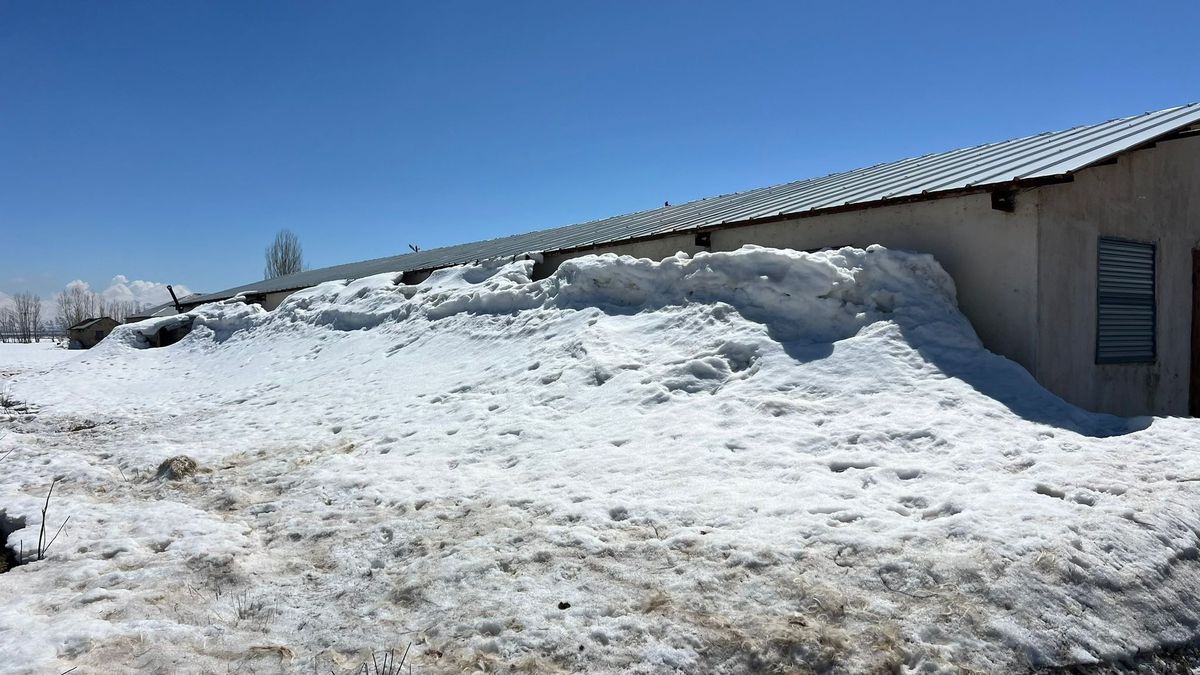 Yüksekova\'da Besiciler Kışın Zorluğuyla Savaş Özleminde