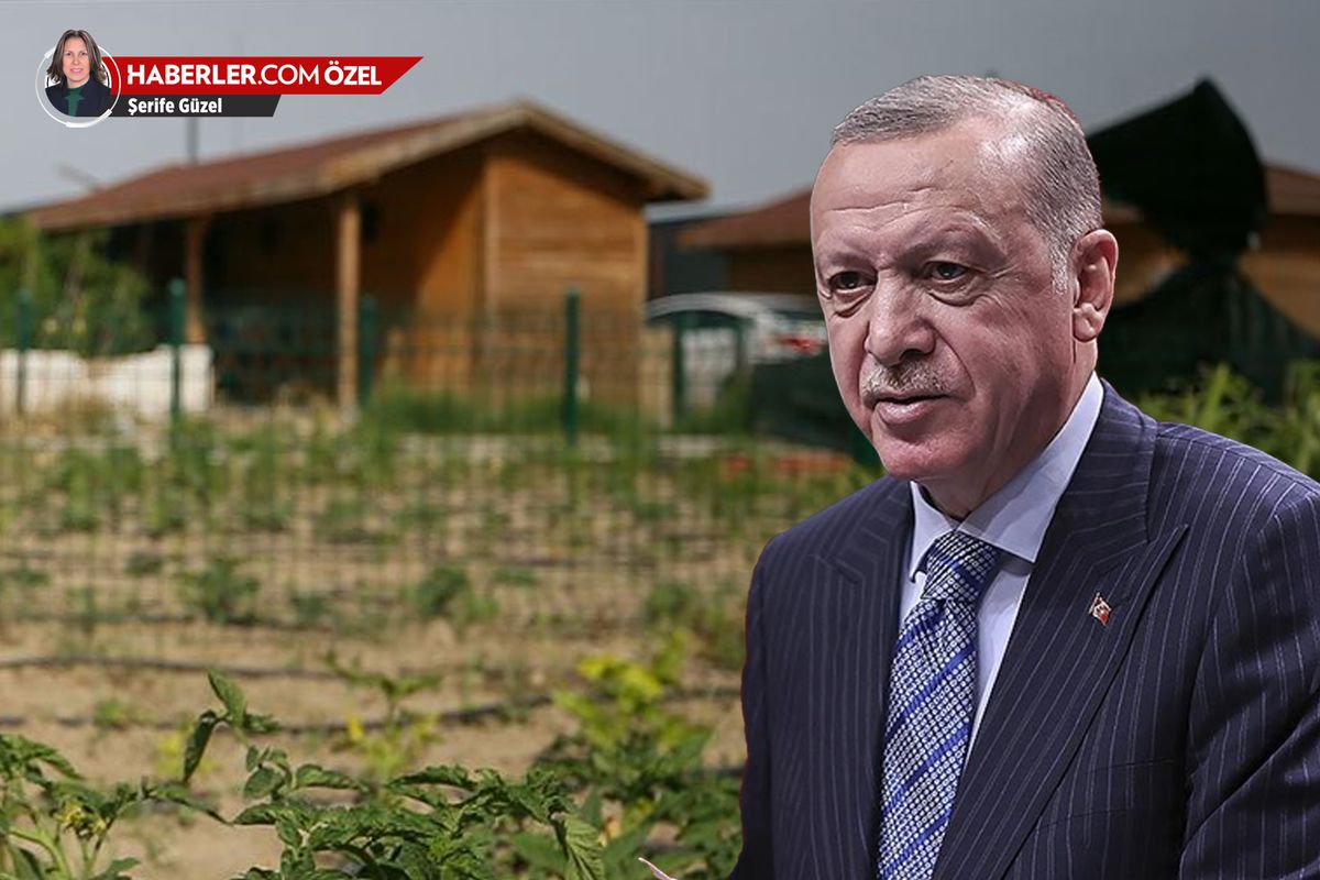 Hobi bahçeleri ne olacak? İşte Erdoğan\'ın tartışmalı düzenleme için verdiği talimat