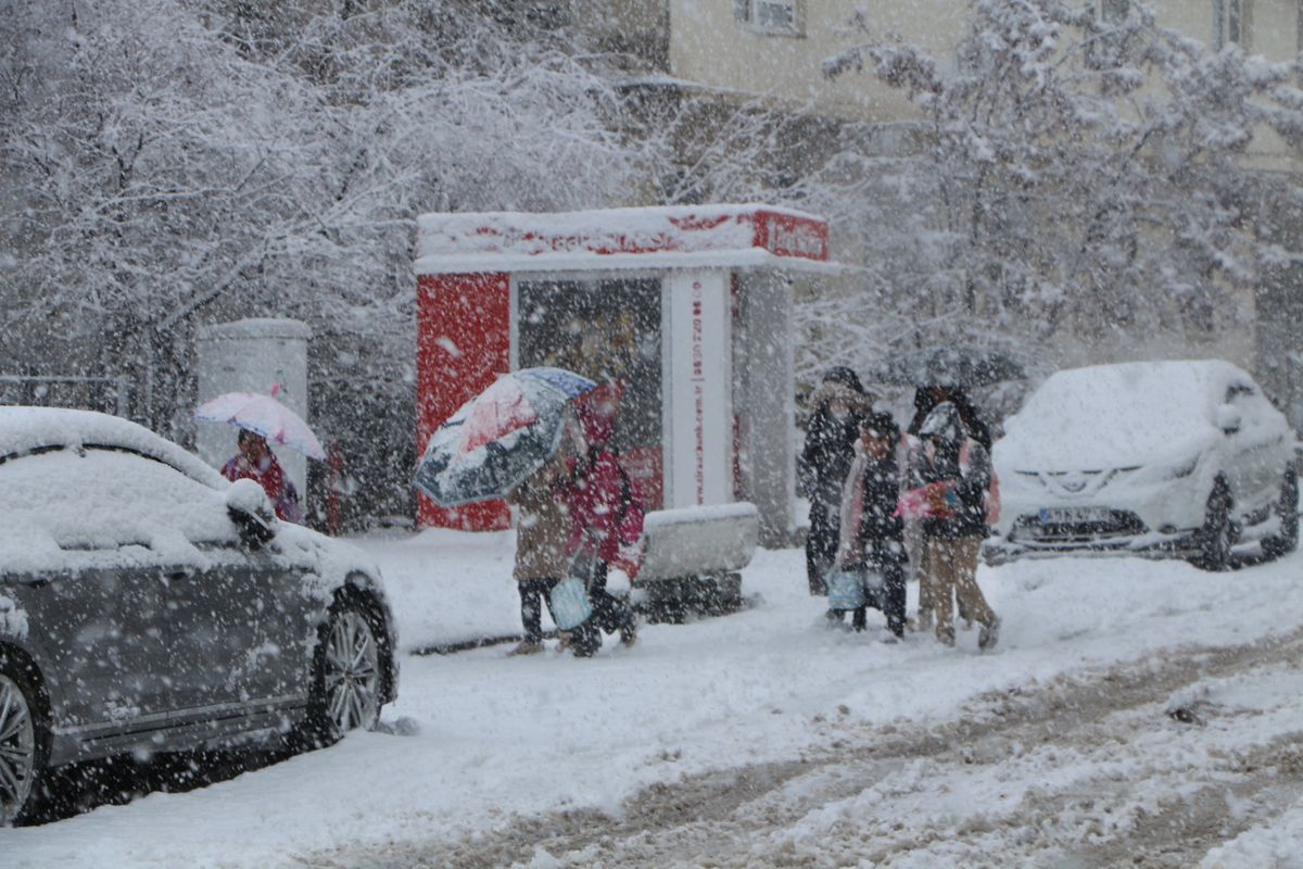 Karlıova Beyaza Büründü