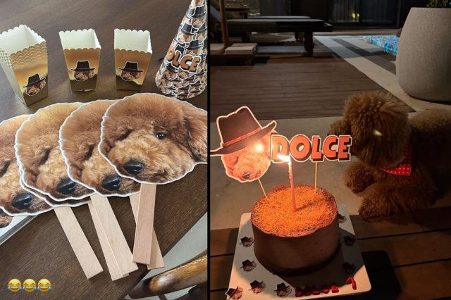 Nesrin Cavadzade’den köpeği Dolce'ye doğum günü partisi