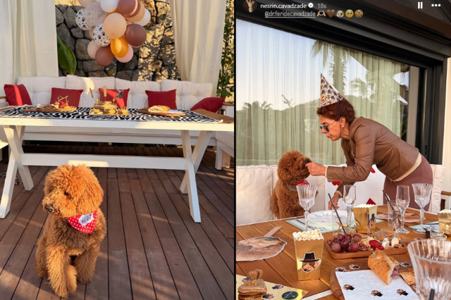 Nesrin Cavadzade’den köpeği Dolce'ye doğum günü partisi