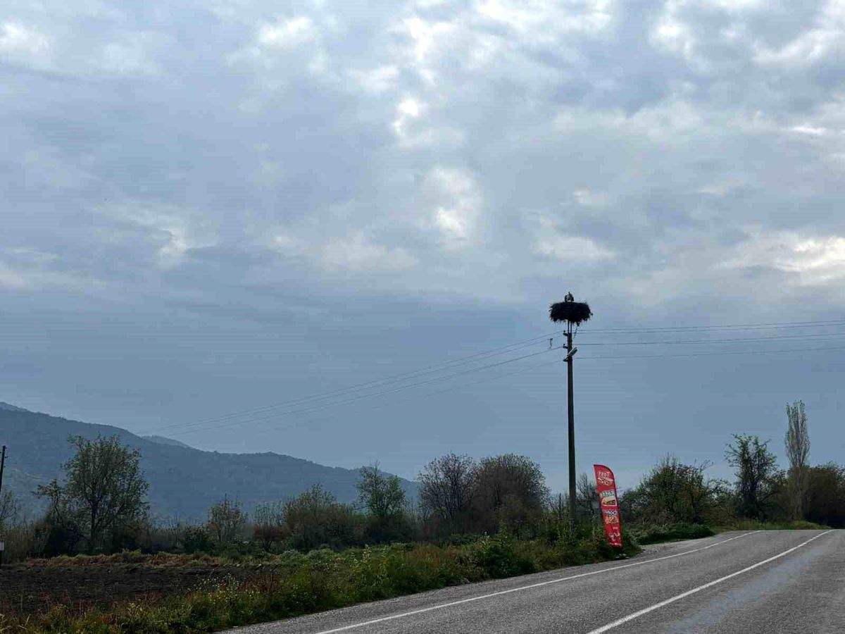 Leylekler Bozdoğan\'da Baharı Müjdeliyor