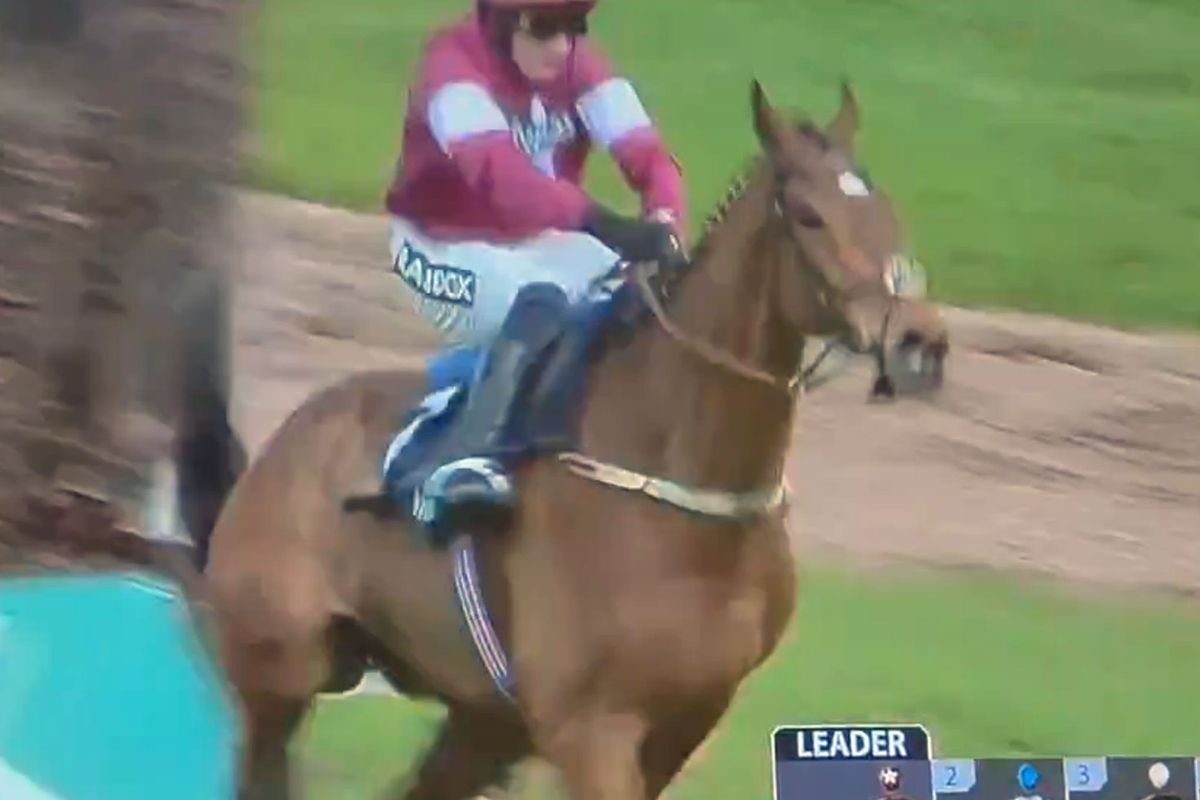 Engelden atlarken sırtı kırılan yarış atının acı sonu