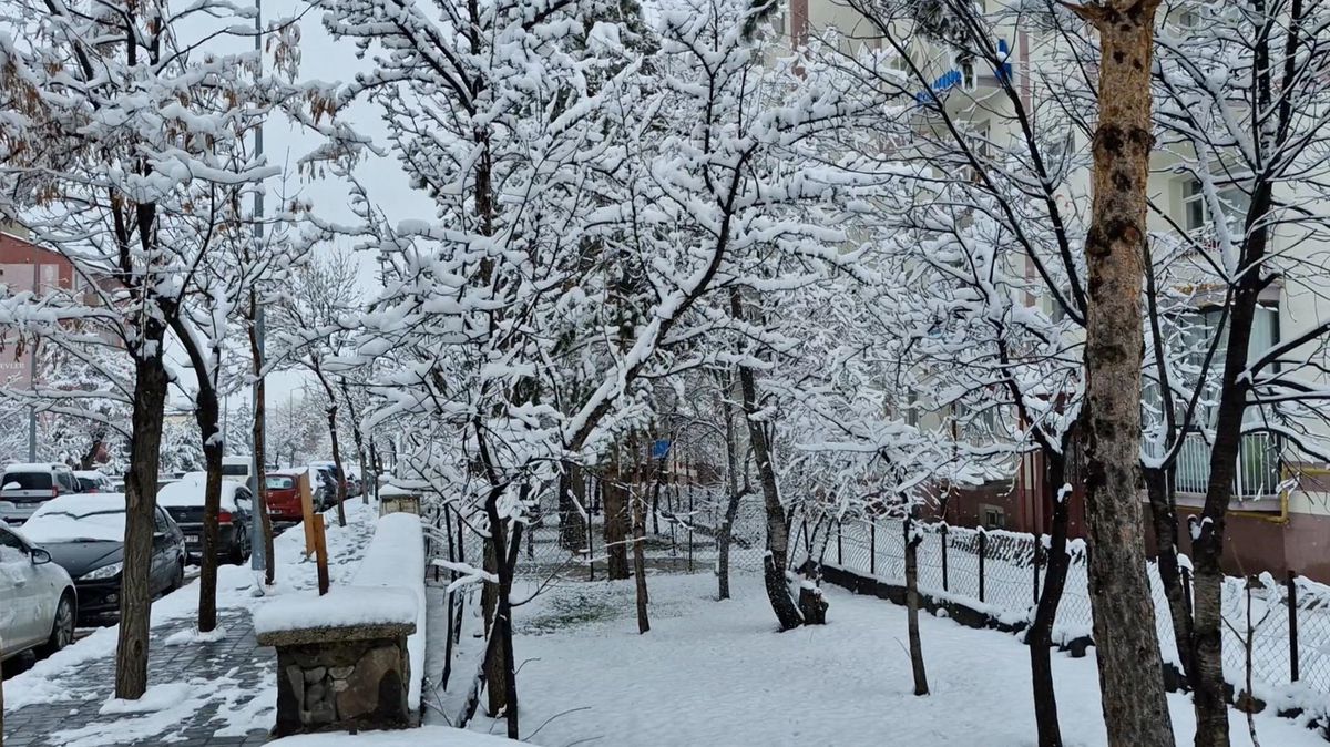 Erzurum ve Ardahan\'da Kar Yağışı