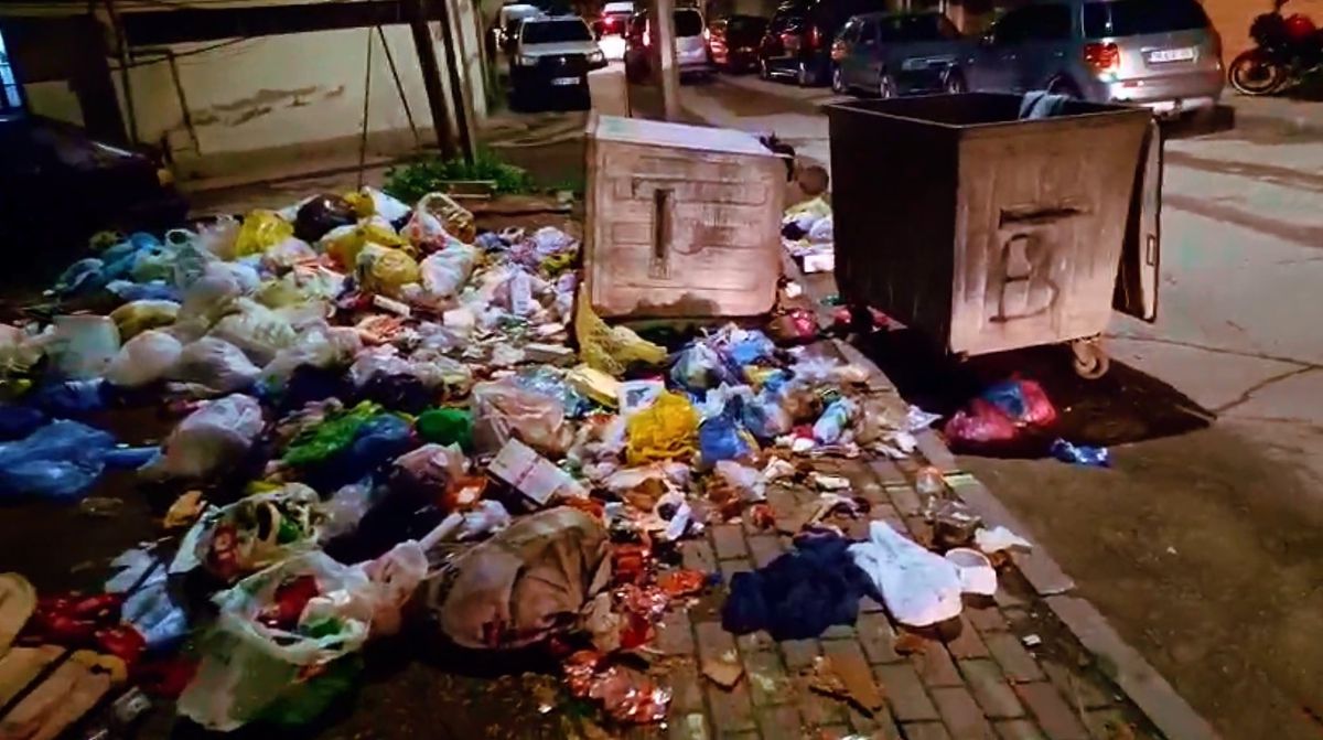 Boğazı kesilerek öldürülen kadının katili müstakbel damadı çıktı! İtirafları kan donduruyor