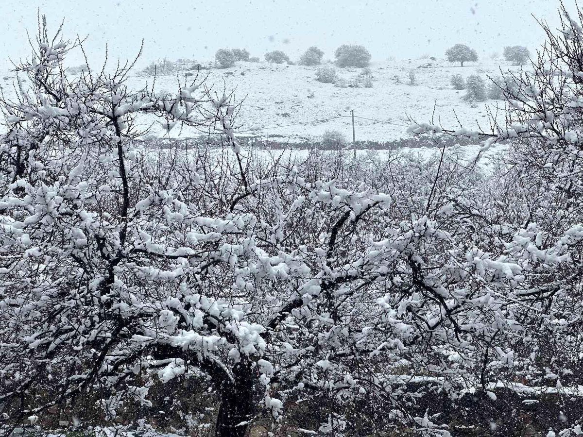 Malatya\'da Kar Yağışı Etkili Oluyor