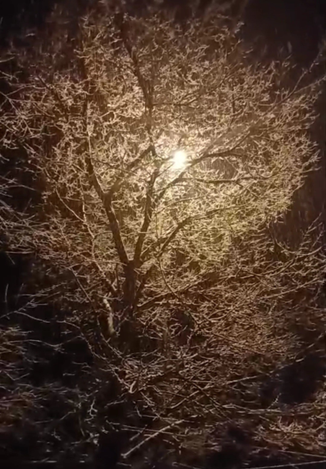 Meteoroloji’den “Sarı Kodlu” uyarı: Sağanak ve kar geliyor