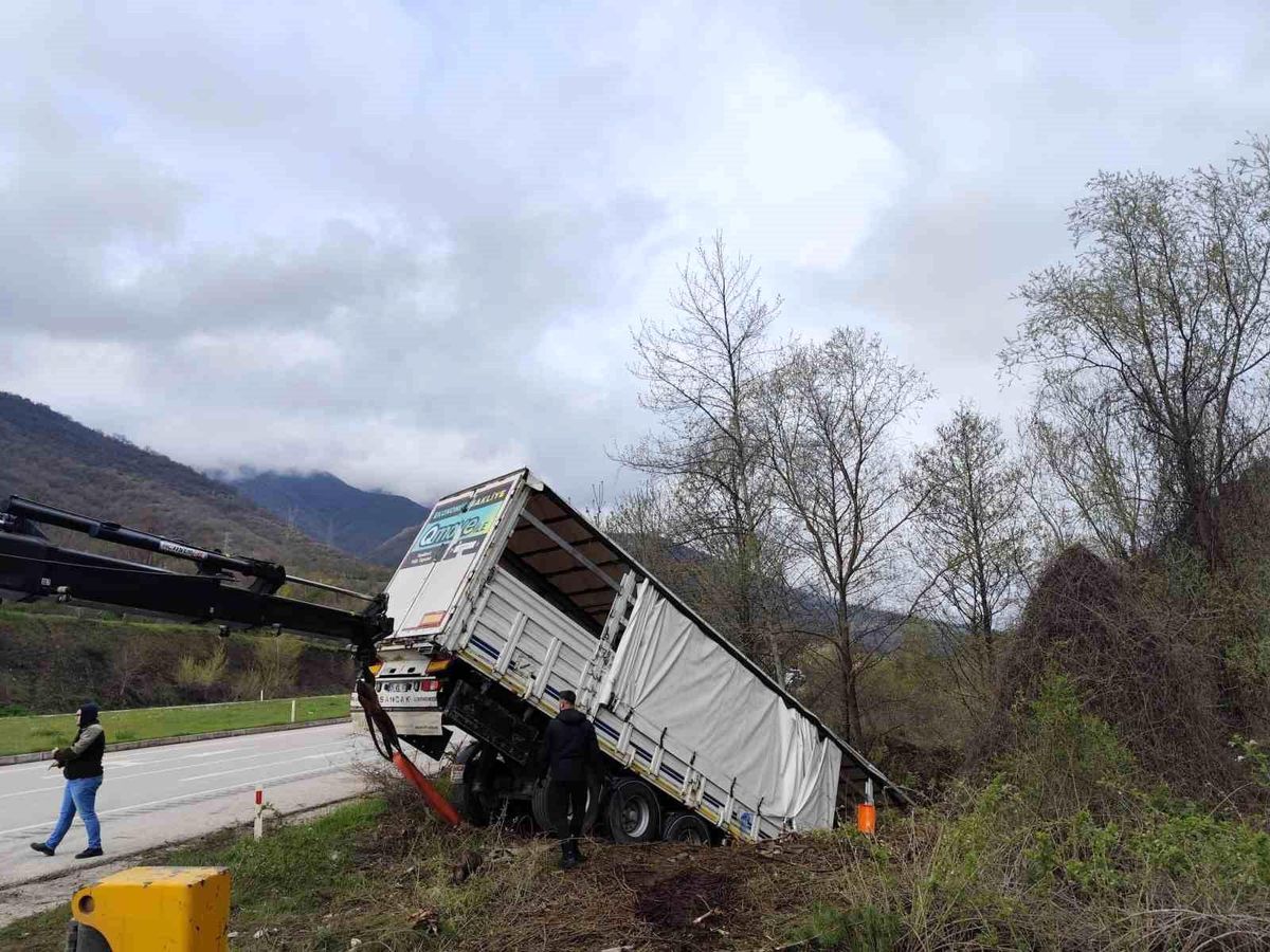 Tokat\'ta Kaza: 3 Yaralı, 6 Hayvan Telef Oldu