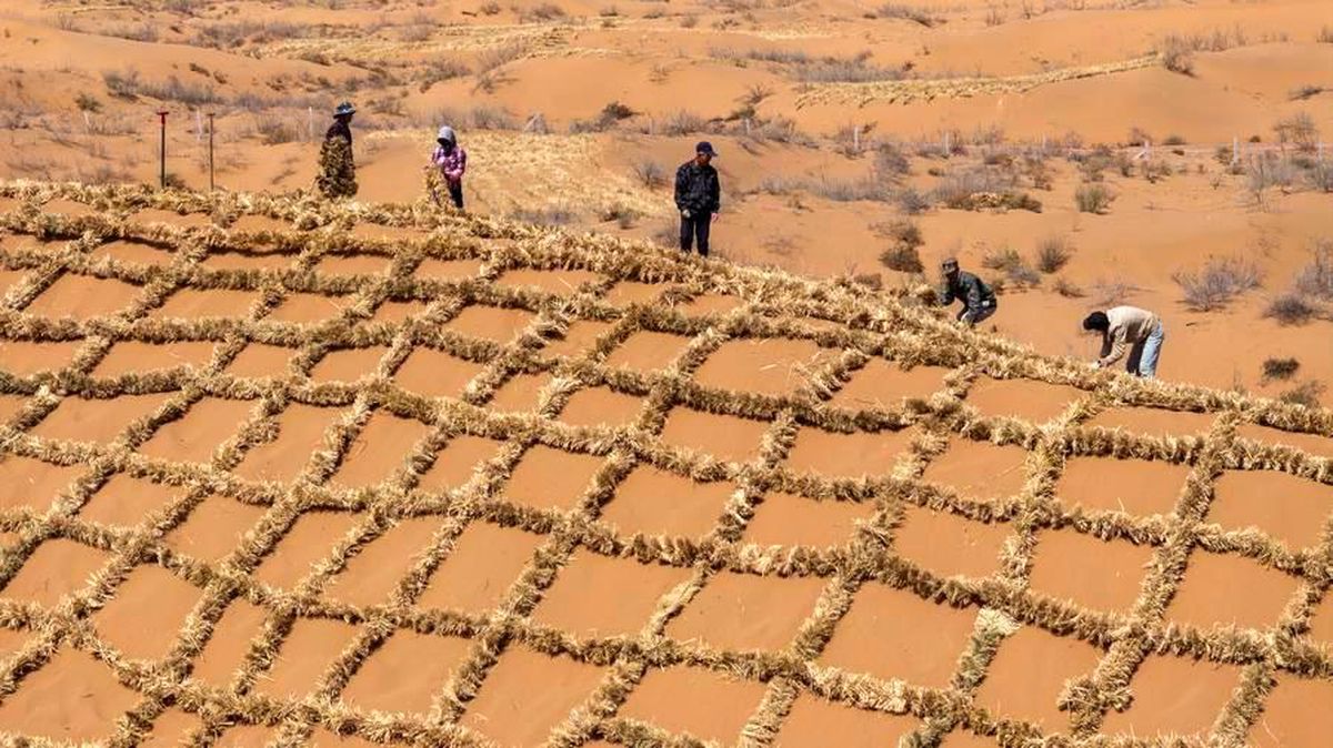 Çin\'de Çöl Kontrolü İçin Yenilik
