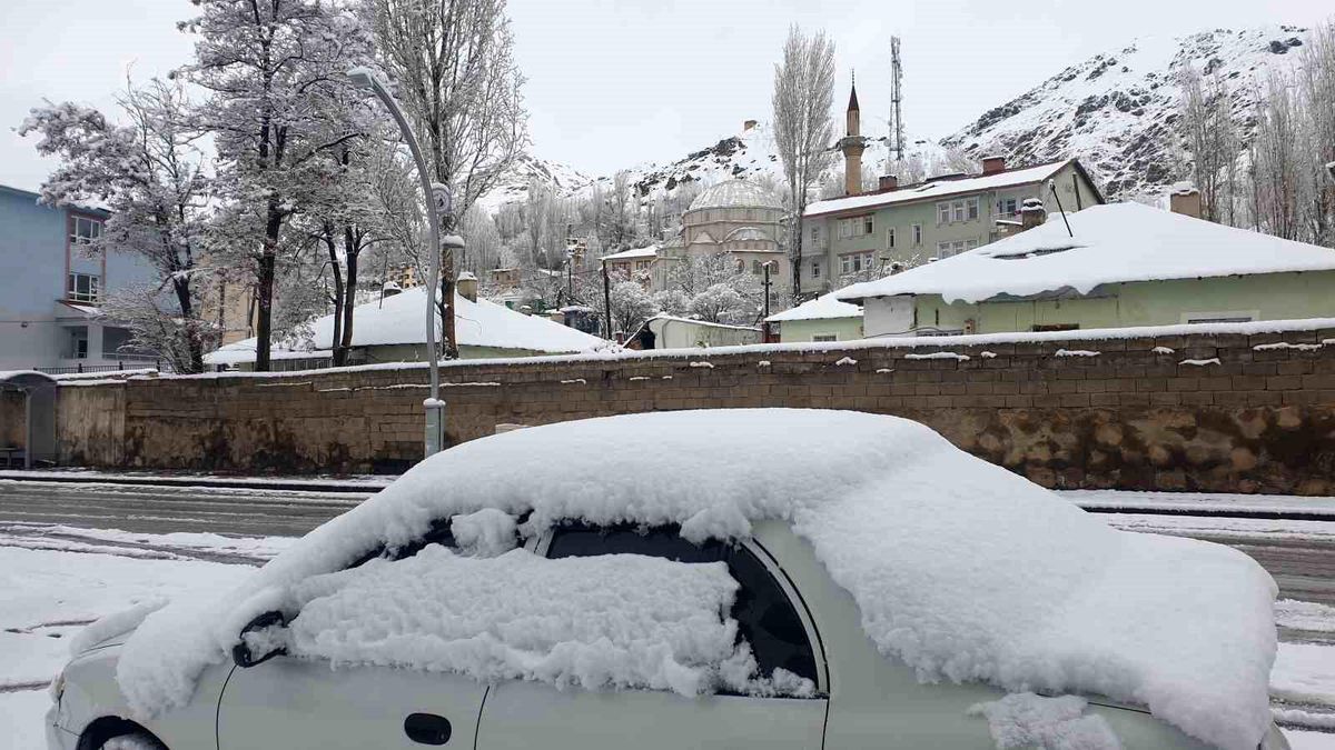 Başkale\'de Nisan Karı Hayatı Olumsuz Etkiledi