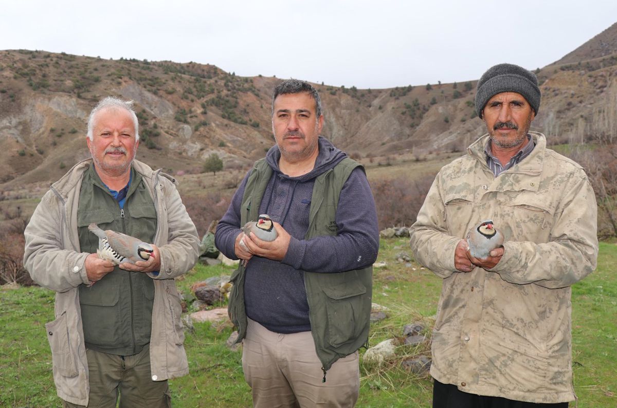 Kınalı Keklik Envanteri Tamamlandı