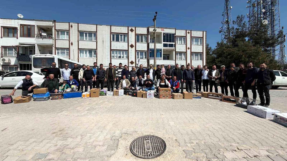 Mustafakemalpaşa\'da Güvercin Şöleni