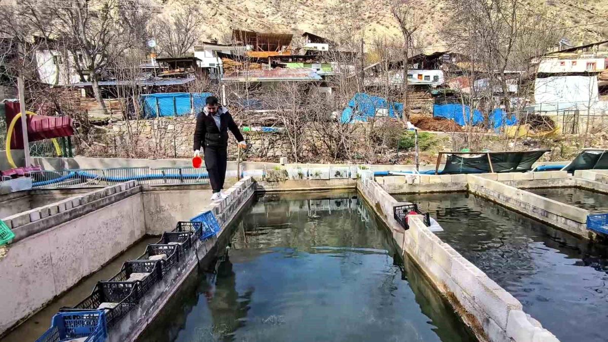 Alabalık Tesisindeki İhmal Sorunları Süperiyor