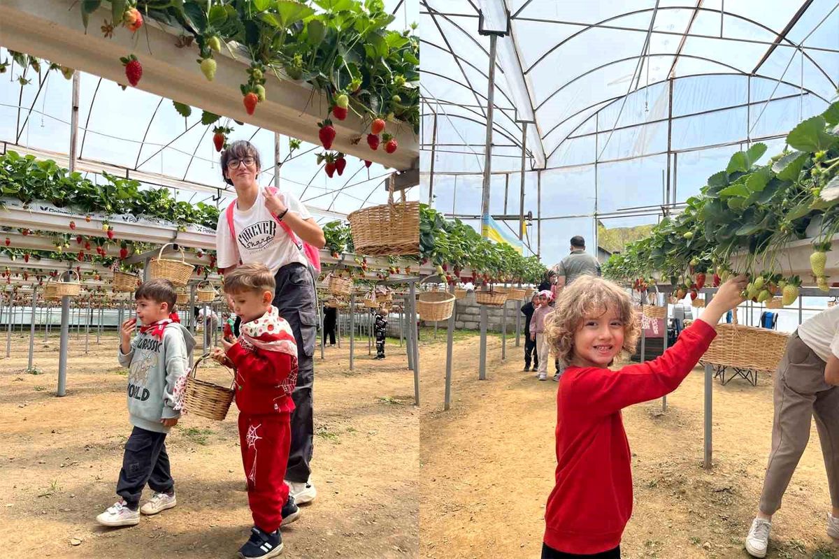ALKÜ\'lü Miniklerden Fidan ve Çilek Etkinliği