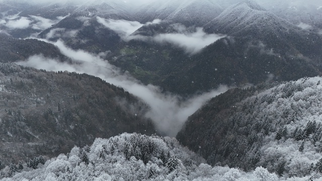 Ayder Yaylası’nda Kar Kalınlığı 20 Santimetreye Ulaştı