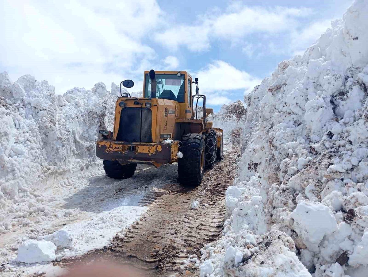 Bingöl\'de Kar Temizleme Çalışmaları