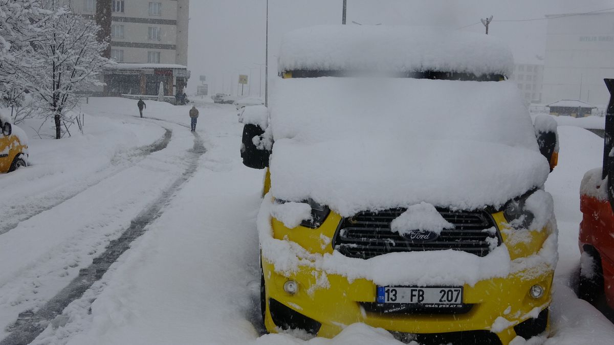 Bitlis\'te Nisan Karı Hayatı Olumsuz Etkiledi
