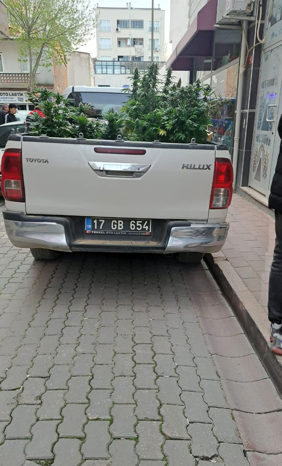 Çanakkale\'de Apartmanda Kenevir Yetiştiricisi Yakalandı