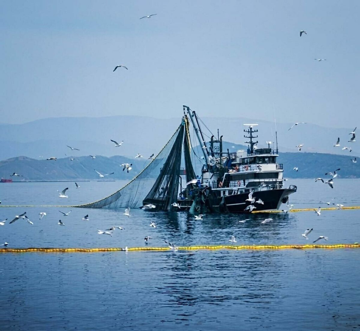 Av Yasağı 15 Nisan\'da Başlıyor