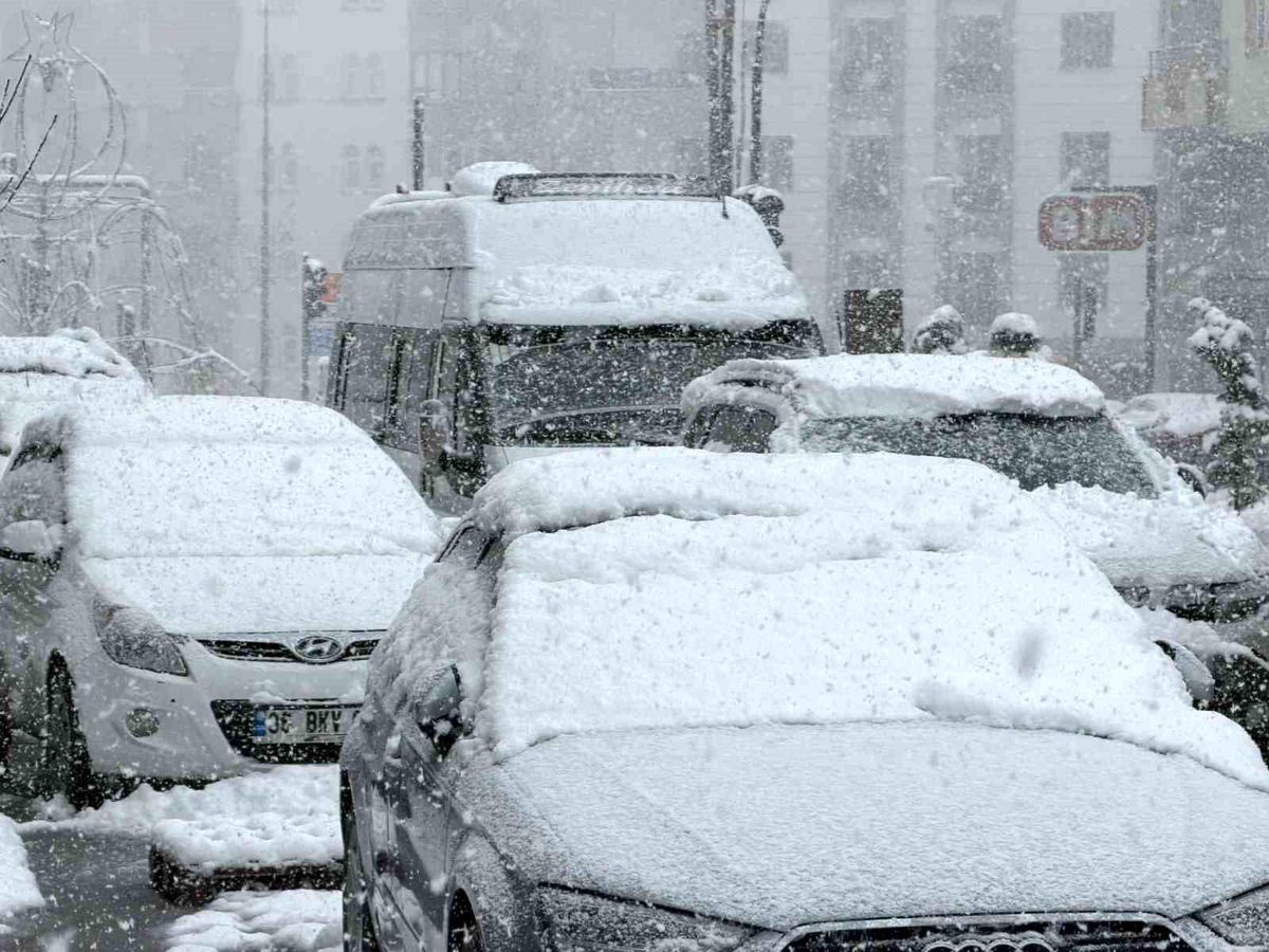 Hakkari\'de 60 yerleşim yerinin yolu kapandı