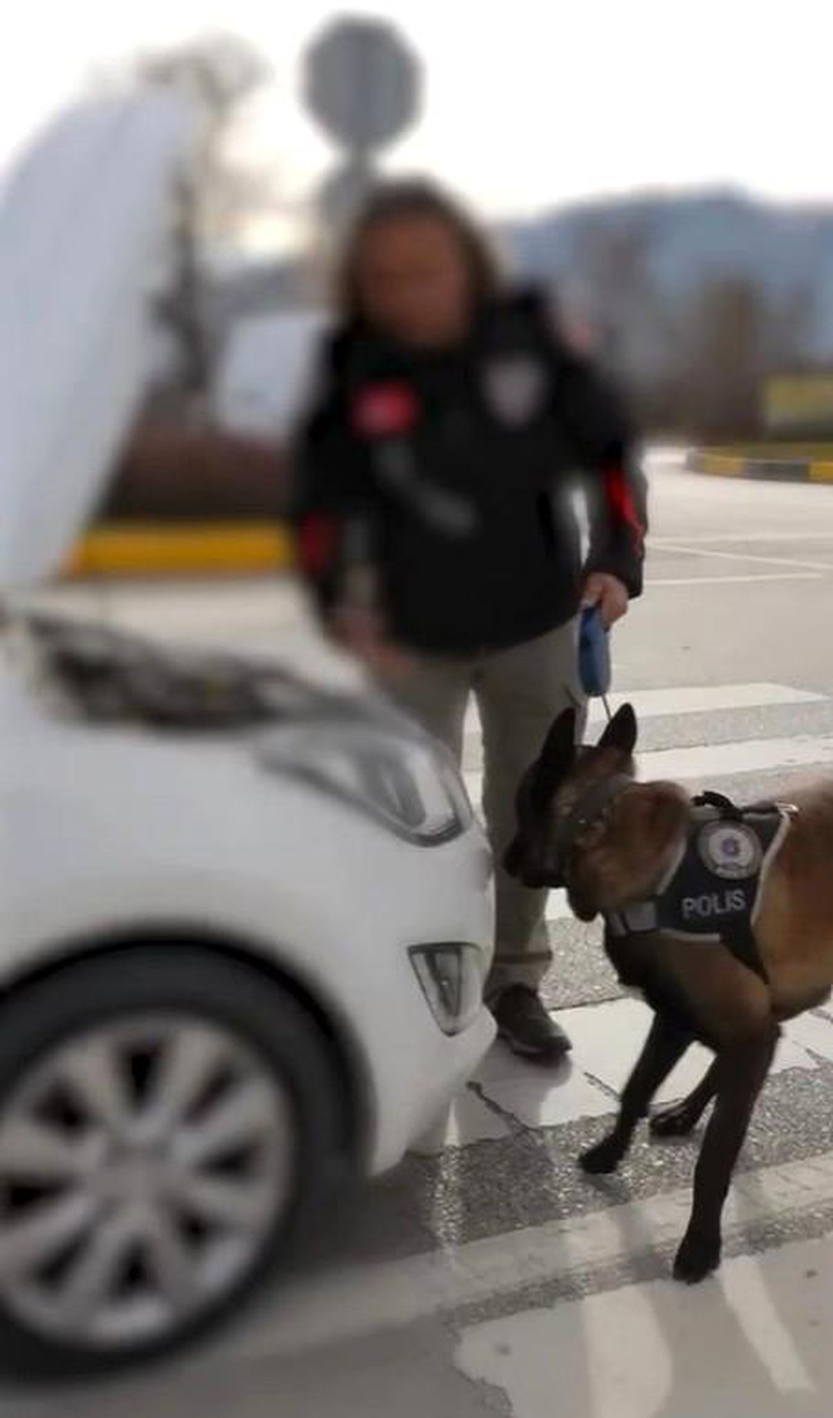 Isparta\'da Uyuşturucu Operasyonları: 33 Şüpheli