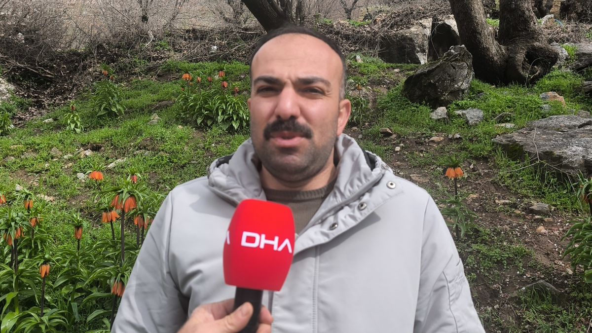 Ters Laleye Yoğun İlgi