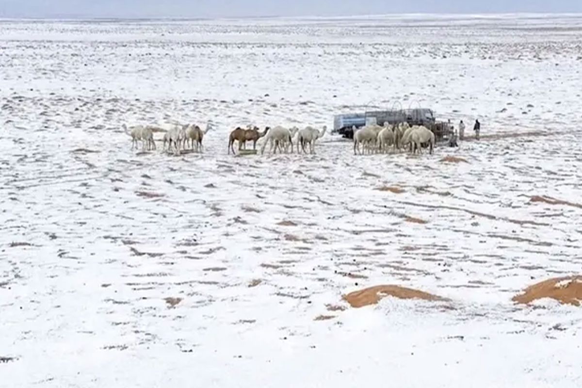 Suudi Arabistan\'da çöller dolu yağışıyla beyaza büründü
