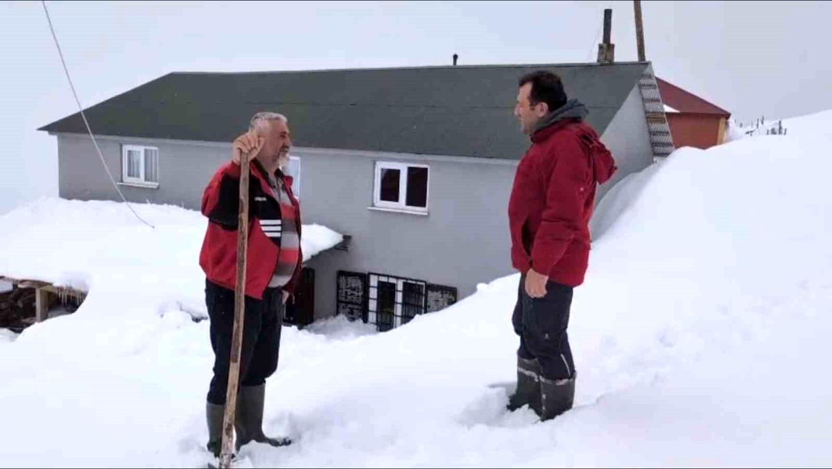 Torul\'da Ayı Nöbeti: Hüseyin Çolakoğlu\'nun Mücadelesi