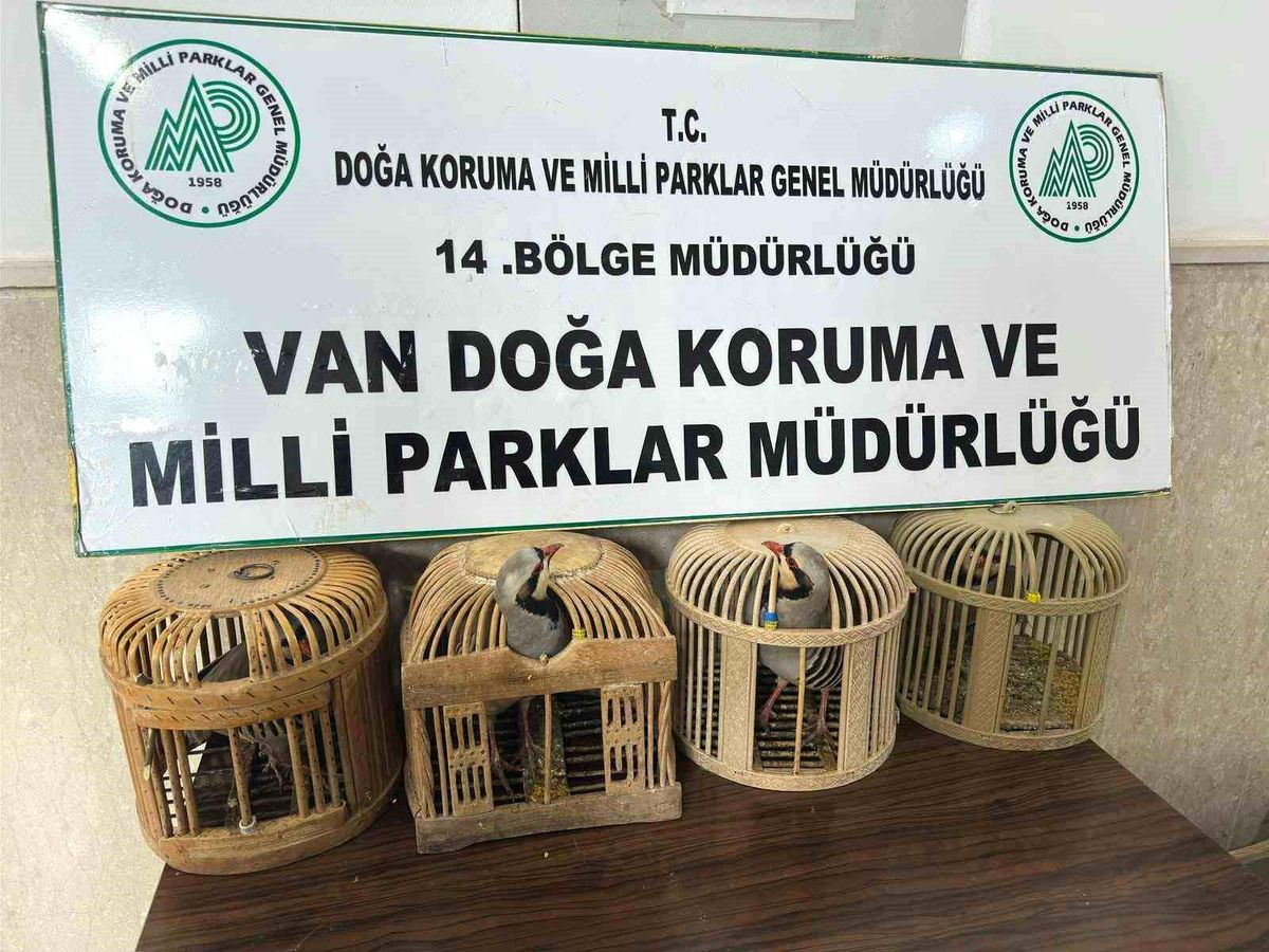 Gevaş\'ta Kafes Avcısına 86 Bin TL Ceza